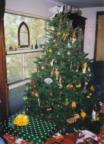 Image:Christmas tree in Texas.jpg