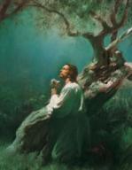 http://library.lds.org/nxt/gateway.dll?f=id$id=tchg-pix.nfo:o:162$cid=tchg-pix.nfo$3.0$p=