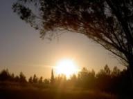 Image:Sunsetinisrael.jpg