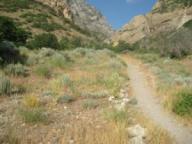 IMG_2937 Wilderness